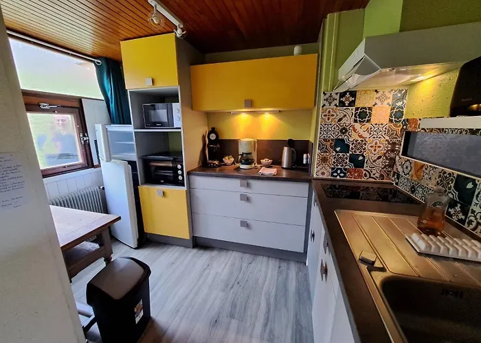 Appartement Duplex Avec Vue Sur Le Sancy Et Garage Couvert